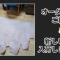 新しい革が入荷しました